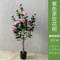 XU0612679